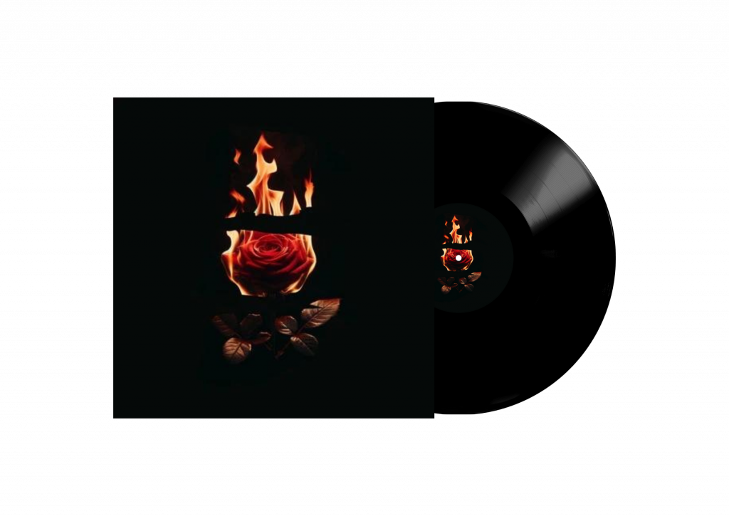 Vinyl record cover featuring an artistic burning rose, symbolizing the themes of passion and transformation present in Isco Cruz's 'Nocturnal Summer'.